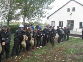 Ár- és belvízvédelmi gyakorlat 2012