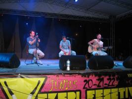 Falunap 2012