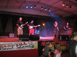 Falunap 2012