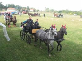 Lovasnap 2012
