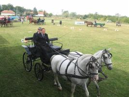 Lovasnap 2012
