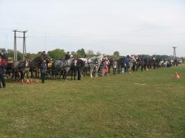 Lovasnap 2012