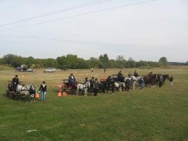 Lovasnap 2012
