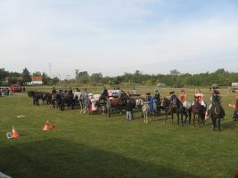 Lovasnap 2012