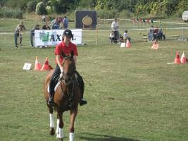 Lovasnap 2012