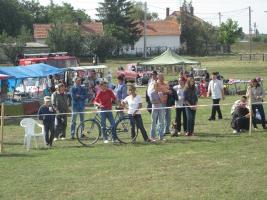 Lovasnap 2012