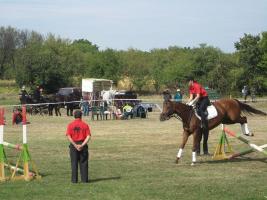 Lovasnap 2012