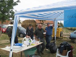 Lovasnap 2012