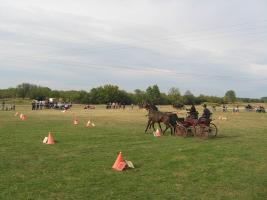 Lovasnap 2012