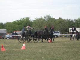 Lovasnap 2012