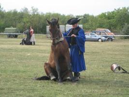 Lovasnap 2012