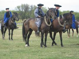 Lovasnap 2012