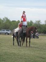 Lovasnap 2012