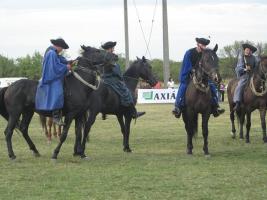 Lovasnap 2012