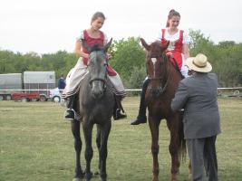 Lovasnap 2012
