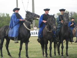 Lovasnap 2012