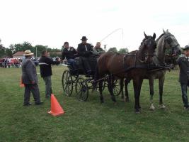 Lovasnap 2012