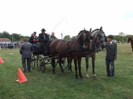 Lovasnap 2012