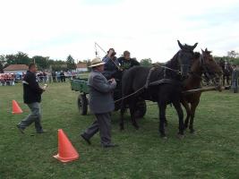 Lovasnap 2012