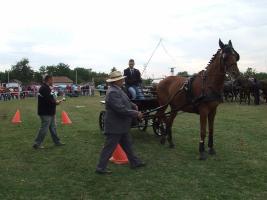 Lovasnap 2012