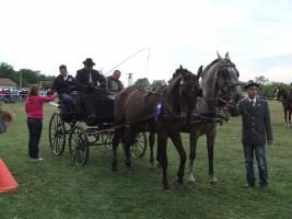 Lovasnap 2012