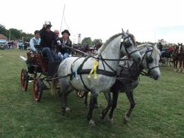 Lovasnap 2012