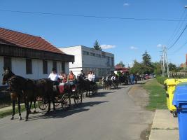 Szüreti felvonulás - 2012