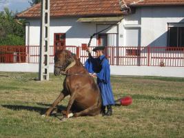 Szüreti felvonulás - 2012