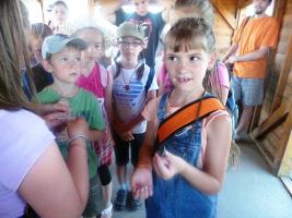 Hagyományőrző Tábor 2013