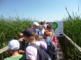 Hagyományőrző Tábor 2013