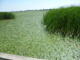 Hagyományőrző Tábor 2013