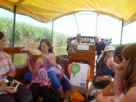 Hagyományőrző Tábor 2013