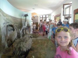 Hagyományőrző Tábor 2013