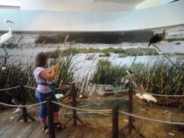 Hagyományőrző Tábor 2013