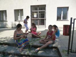 Szűcs Sándor nyomában 2013