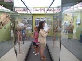 Szűcs Sándor nyomában 2013