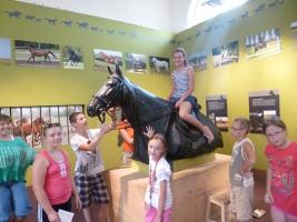 Szűcs Sándor nyomában 2013