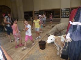 Szűcs Sándor nyomában 2013