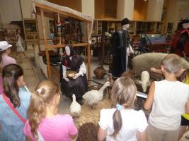 Szűcs Sándor nyomában 2013