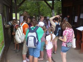 Szűcs Sándor nyomában 2013