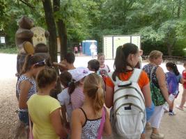 Szűcs Sándor nyomában 2013