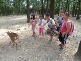 Szűcs Sándor nyomában 2013
