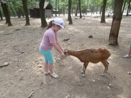 Szűcs Sándor nyomában 2013