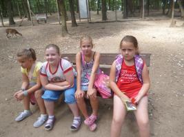 Szűcs Sándor nyomában 2013