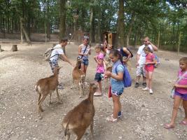 Szűcs Sándor nyomában 2013
