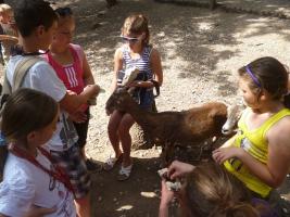 Szűcs Sándor nyomában 2013