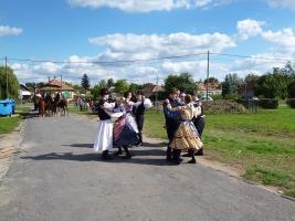 Szüreti felvonulás 2013