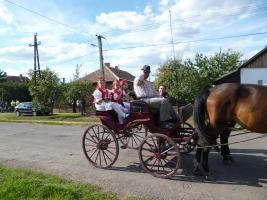 Szüreti felvonulás 2013