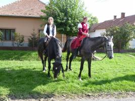 Szüreti felvonulás 2013