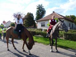 Szüreti felvonulás 2013